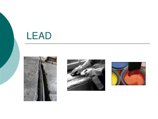 LEAD