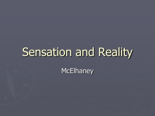 Sensation and Reality