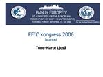 EFIC kongress 2006 Istanbul Tone-Marte Ljos