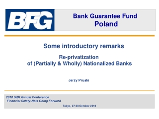 Some introductory remarks Re-privatization  of (Partially &amp; Wholly) Nationalized Banks