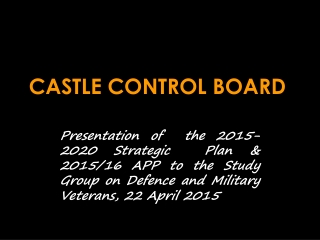 CASTLE CONTROL BOARD