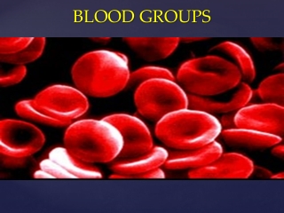 BLOOD GROUPS