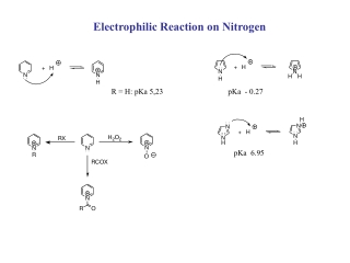 Electrophilic Reaction on Nitrogen