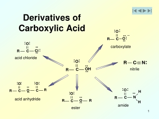 Derivatives of Carboxylic Acid