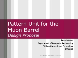 Pattern Unit for the Muon Barrel Design Proposal