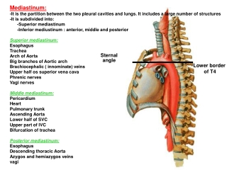 Sternal angle