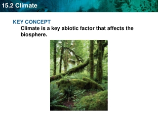 KEY CONCEPT  Climate is a key abiotic factor that affects the biosphere.