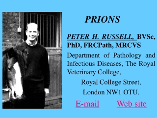 PRIONS