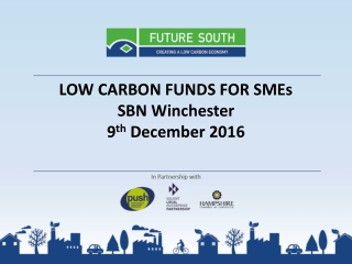 LOW CARBON FUNDS FOR SMEs SBN Winchester 9 th  December 2016