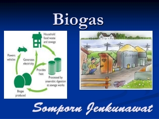 Biogas