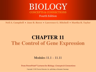 CHAPTER 11 The Control of Gene Expression