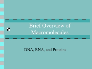 Brief Overview of Macromolecules