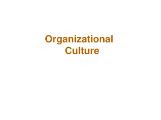 Organizational Culture