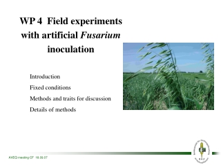 WP 4  Field experiments with artificial  Fusarium  inoculation