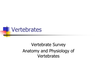 Vertebrates