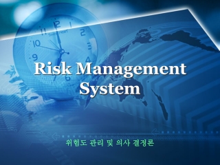 Risk Management System