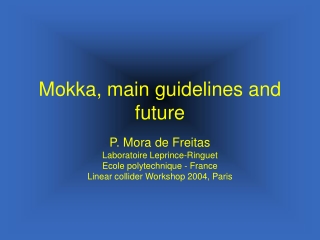 Mokka, main guidelines and future