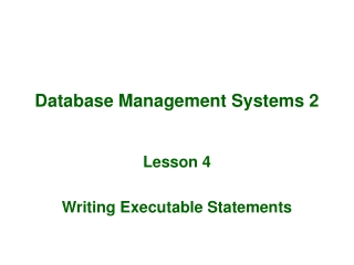 Database Management Systems 2