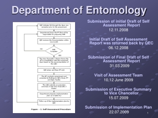 Department of Entomology