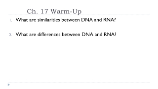 What are similarities between DNA and RNA? What are differences between DNA and RNA?