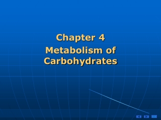 Chapter 4 Metabolism of Carbohydrates