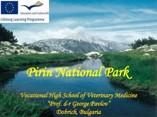 Pirin National Park