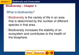 What is biodiversity?