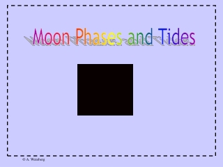 Moon Phases and Tides