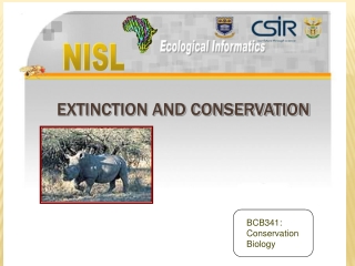 Extinction and Conservation