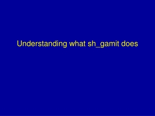 Understanding what sh_gamit does