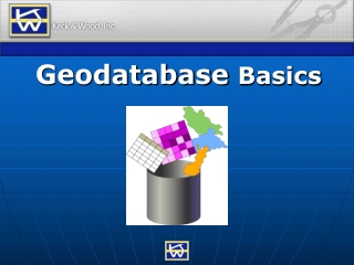 Geodatabase  Basics