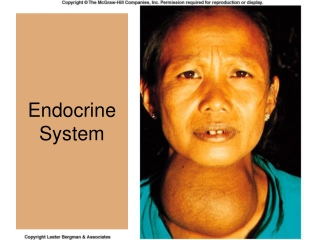 Endocrine System