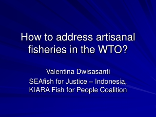 How to address artisanal fisheries in the WTO?