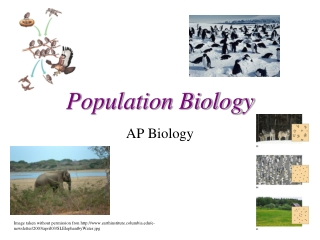 Population Biology