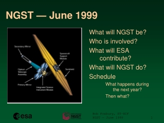 NGST — June 1999