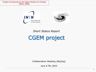 Short Status Report CGEM project