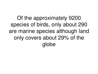 Palearctic region