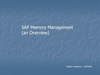 SAP Memory Management (an Overview)