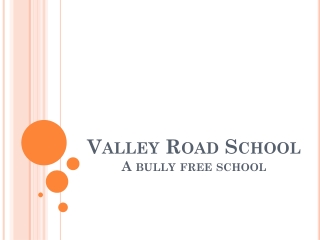 Valley Road School A bully free school