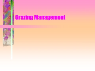 Grazing Management