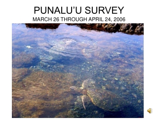 PUNALU’U SURVEY