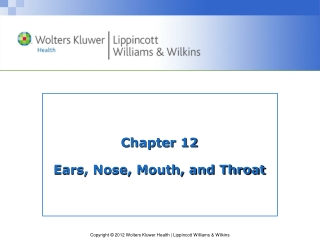 Chapter 12  Ears, Nose, Mouth, and Throat