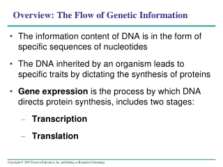 Overview: The Flow of Genetic Information