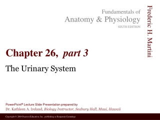 Chapter 26,   part 3