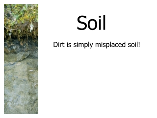 Soil