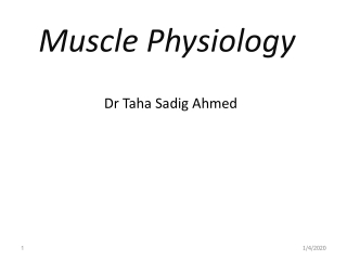 Muscle Physiology