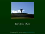 Lettre mes cellules