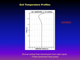 Soil Temperature Profiles