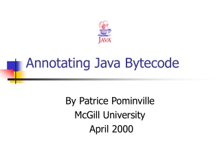 Annotating Java Bytecode