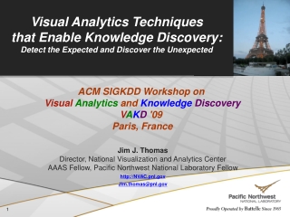 Visual Analytics Techniques  that Enable Knowledge Discovery: